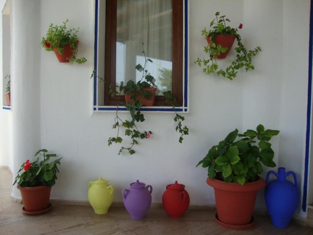 Eden Hotel Bodrum Eksteriør billede